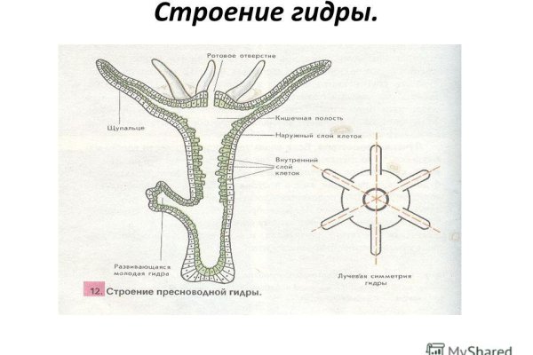 Кракен купить наркоту