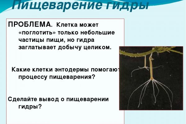 Как зарегистрироваться в кракен в россии