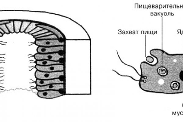 Kraken market ссылка