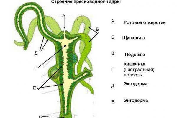 Кракен новый сайт